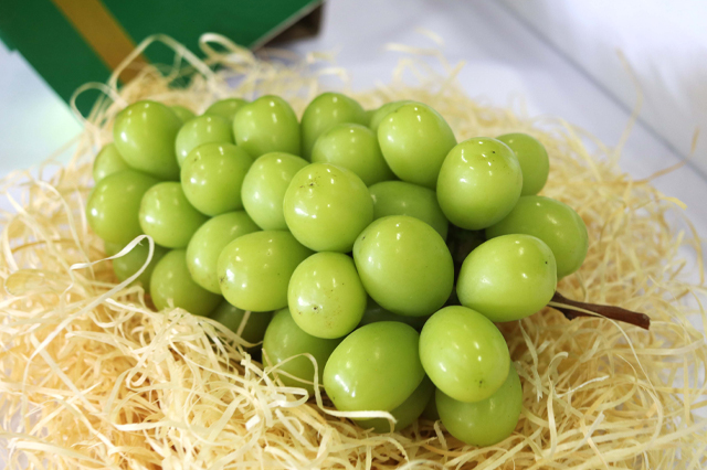 果物のイメージ