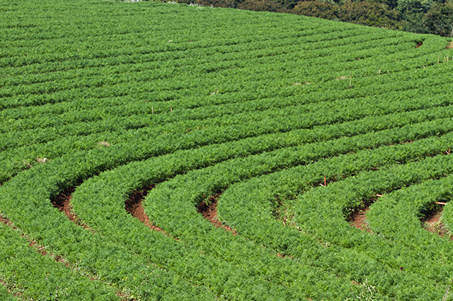 その他のイメージ